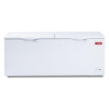 76"W Chest Freezer D288