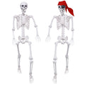 5.4Ft Posable Life Size Skeletons with Movable Joints J1558