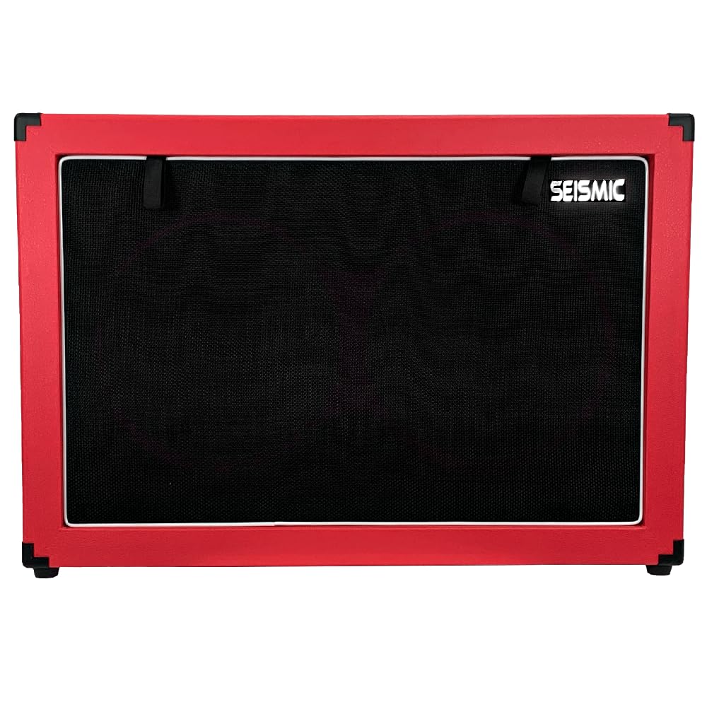 2x12 Empty Guitar Speaker Cabinet D342187