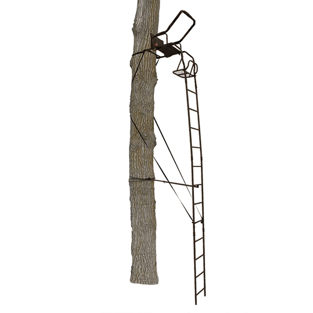 Ladder Tree Stand T45350
