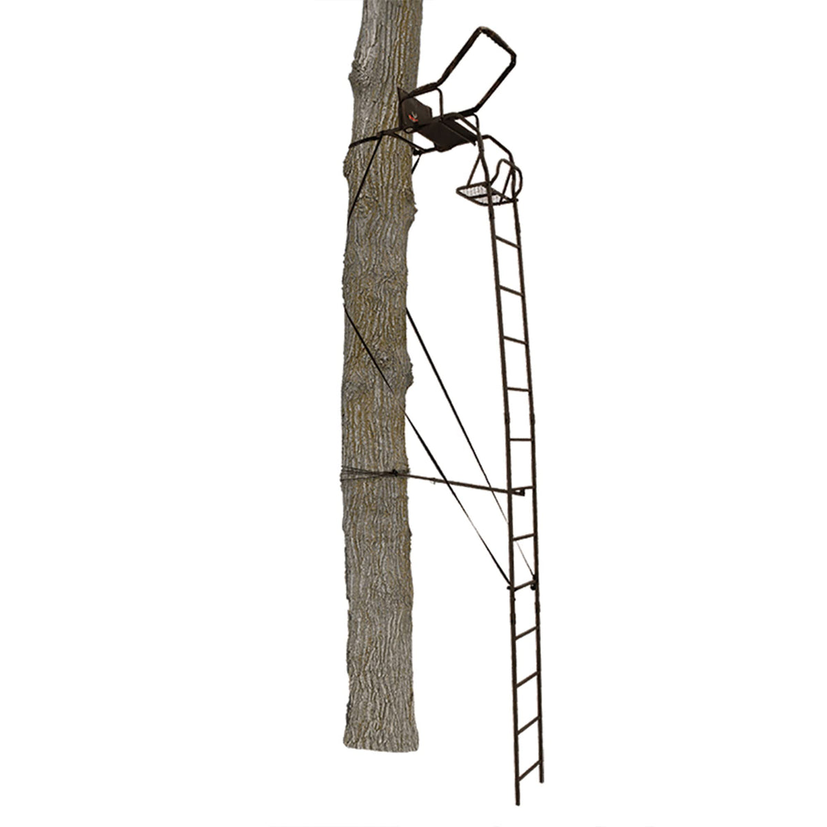 Ladder Tree Stand T45350