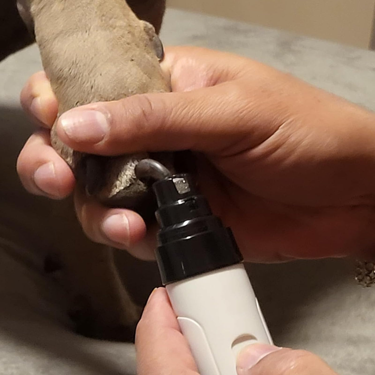 Cortador De Uñas Sin Estrés USB Rechargeable Automatic Pet Nail Trimmer A924