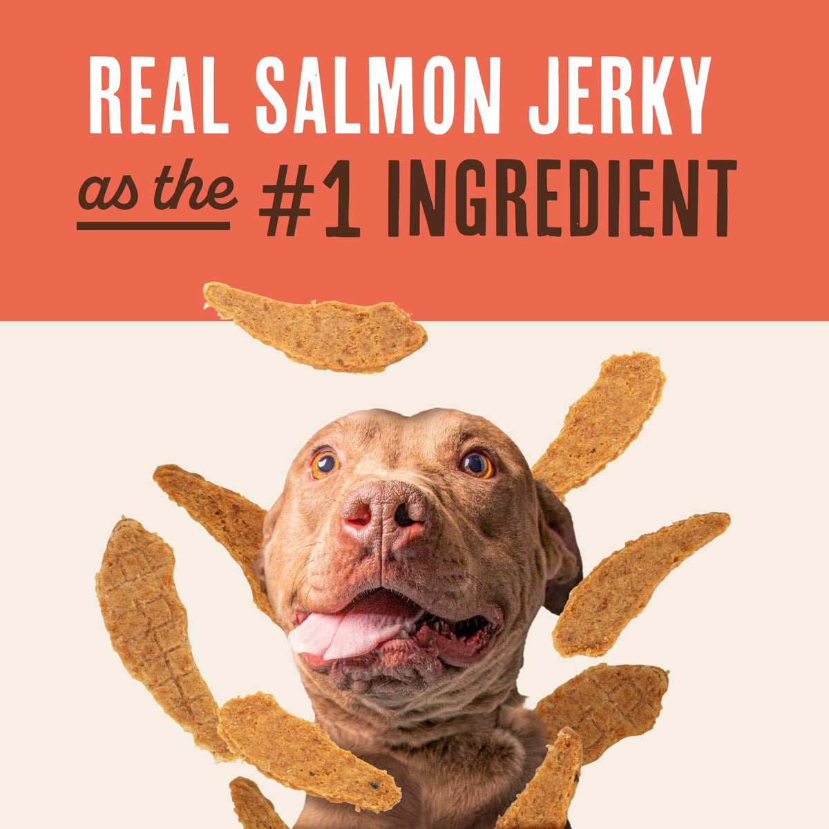 Salmon Jerky Dog Treats 12 oz K304897