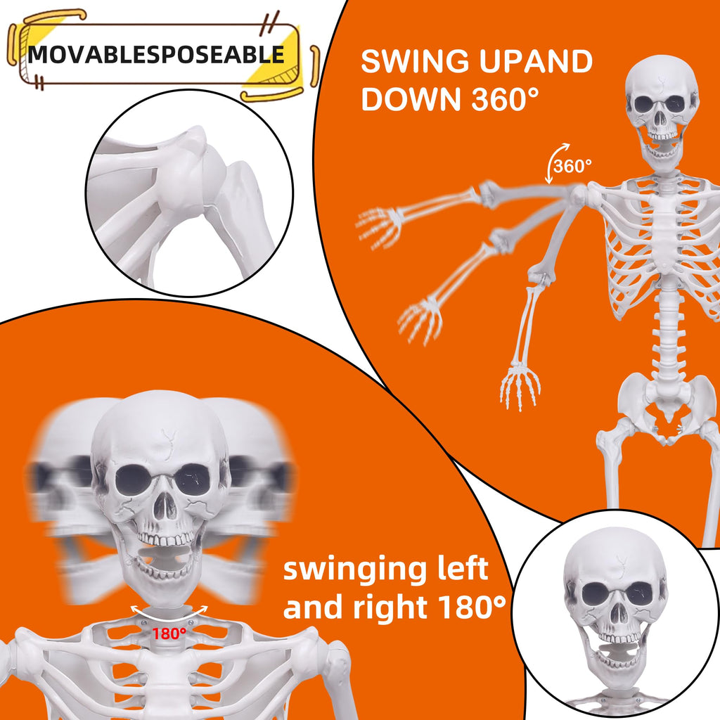 5.4Ft Posable Life Size Skeletons with Movable Joints J1558