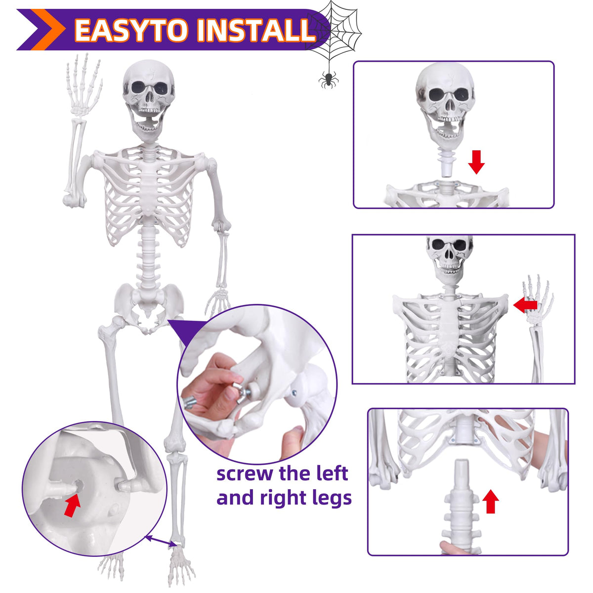 5.4Ft Posable Life Size Skeletons with Movable Joints J1558