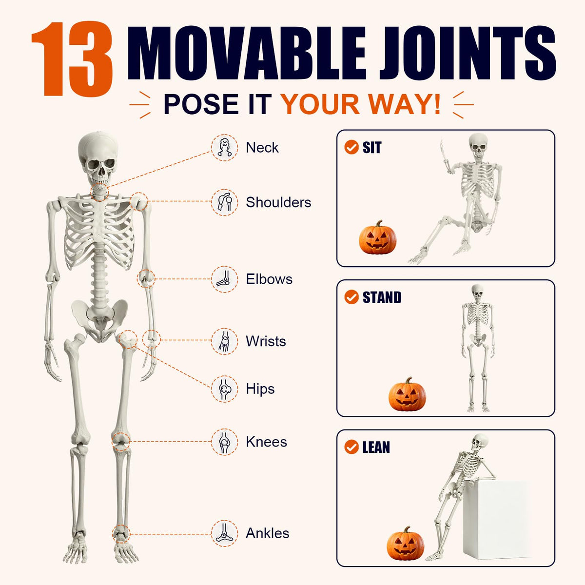 Life Size Full Body Skeleton S395