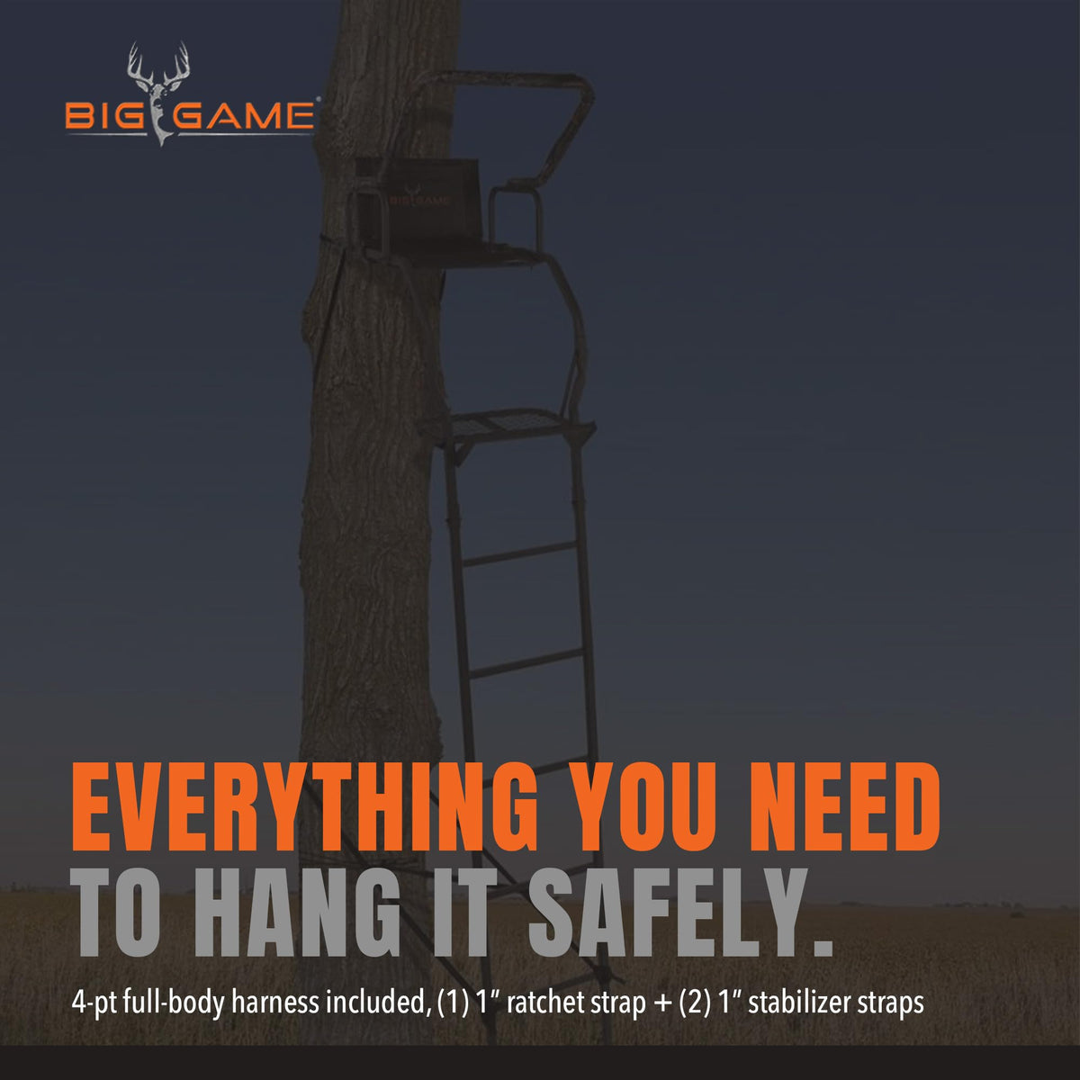 Ladder Tree Stand T45350