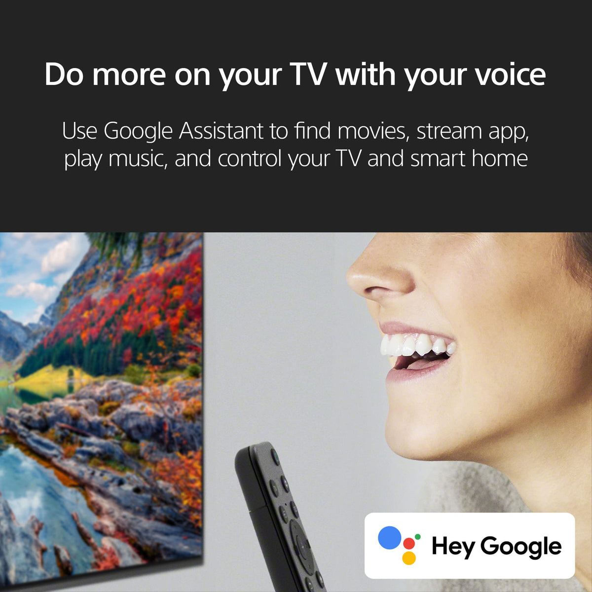 43 Inch LED 4K HDR Smart Google TV Z4105