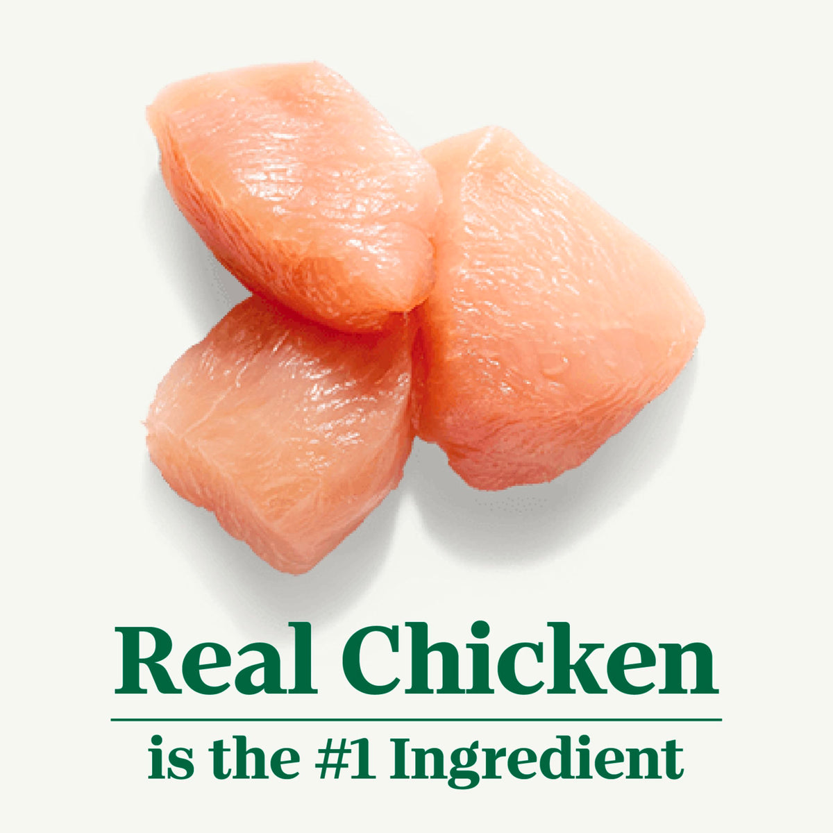 Chicken Dry Cat Food, 3 lb L947793