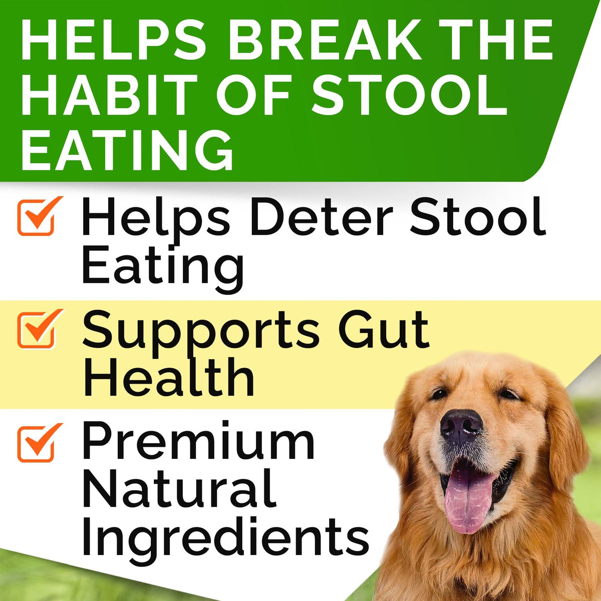 Dog Treats C540949