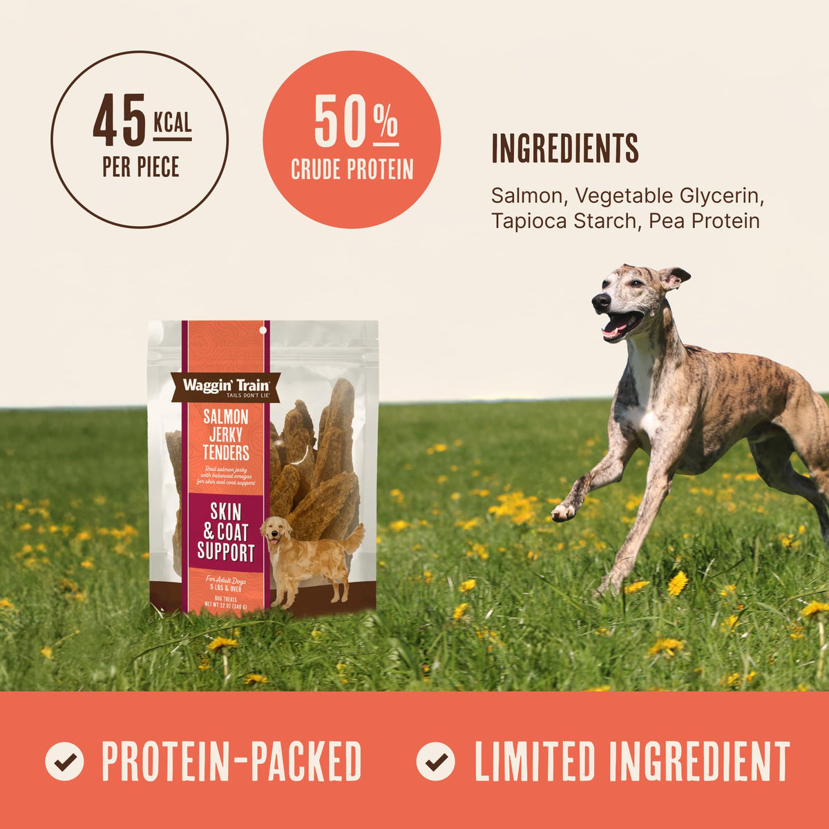 Salmon Jerky Dog Treats 12 oz K304897
