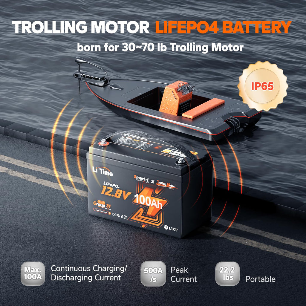 12V 100Ah LiFePO4 Battery with Charger K1287