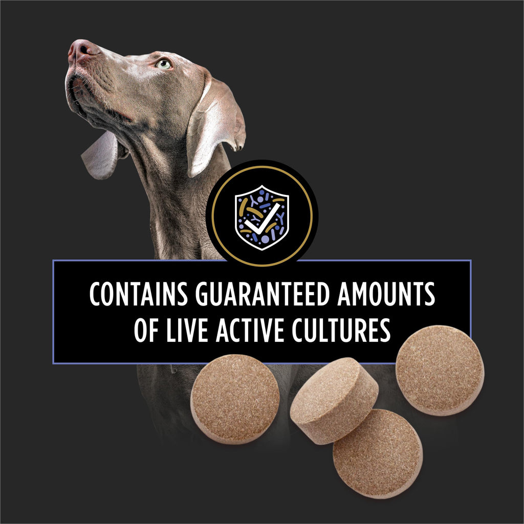 Probiotic Dog Tablets 45 Count U116