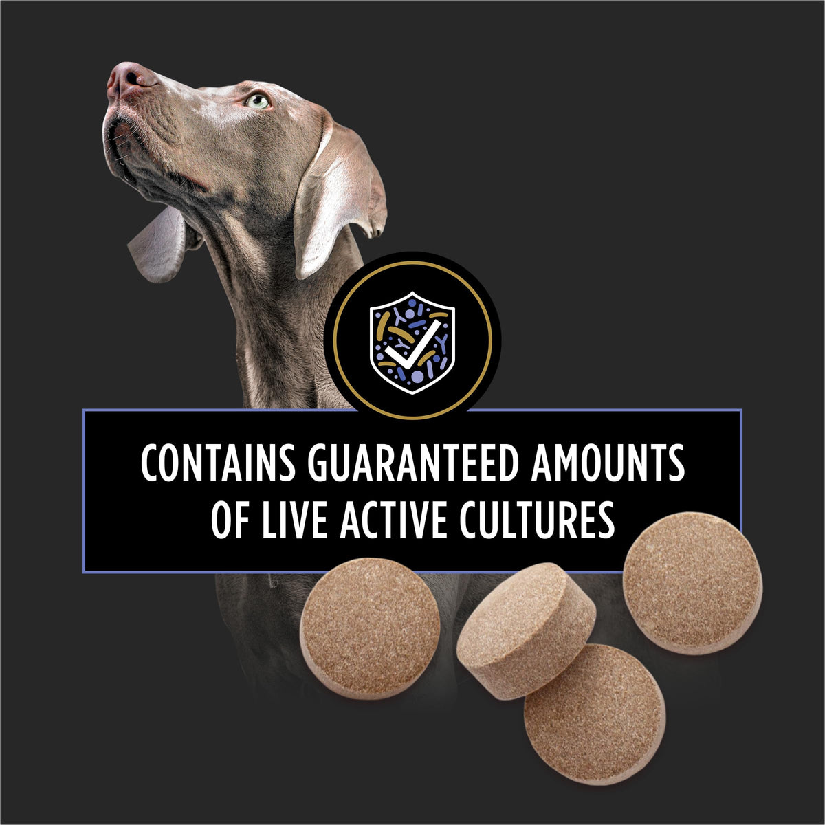 Probiotic Dog Tablets 45 Count U116