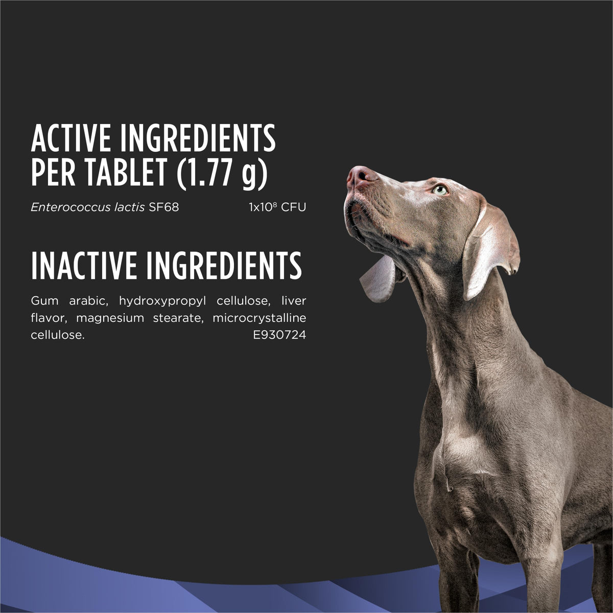 Probiotic Dog Tablets 45 Count U116