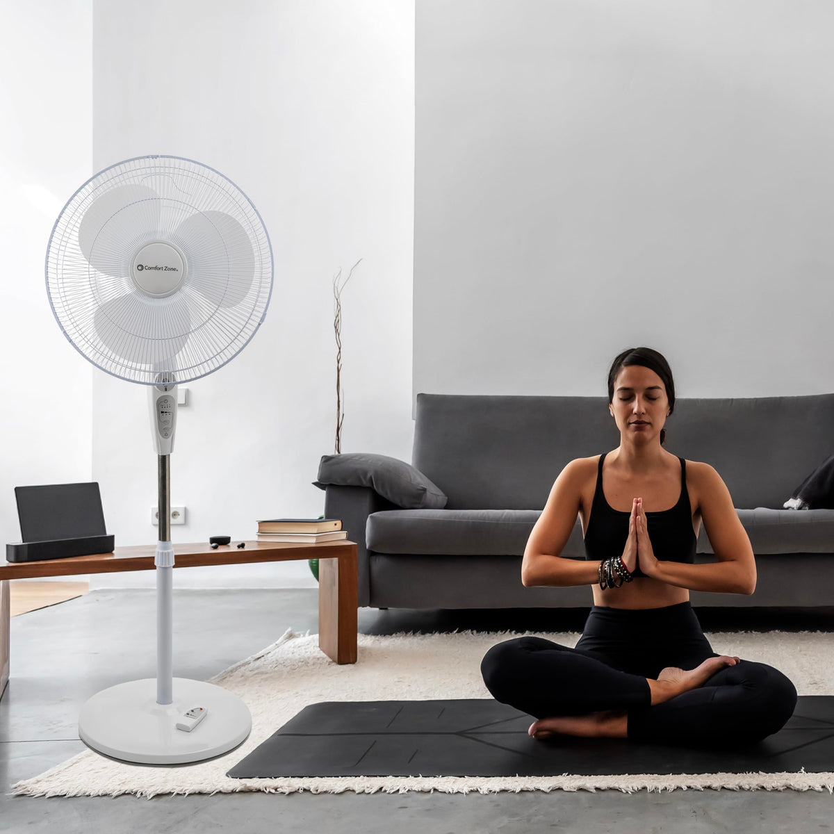 18-Inch Oscillating Pedestal Fan with Remote Control F366