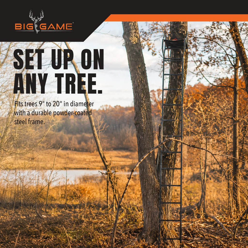 Ladder Tree Stand T45350