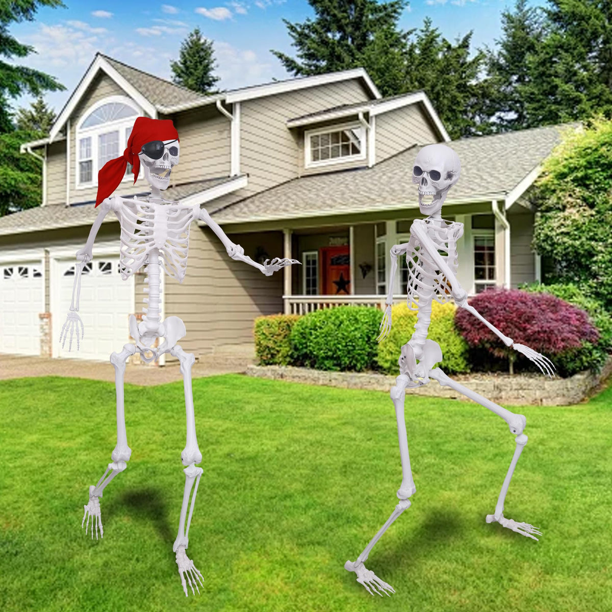 5.4Ft Posable Life Size Skeletons with Movable Joints J1558