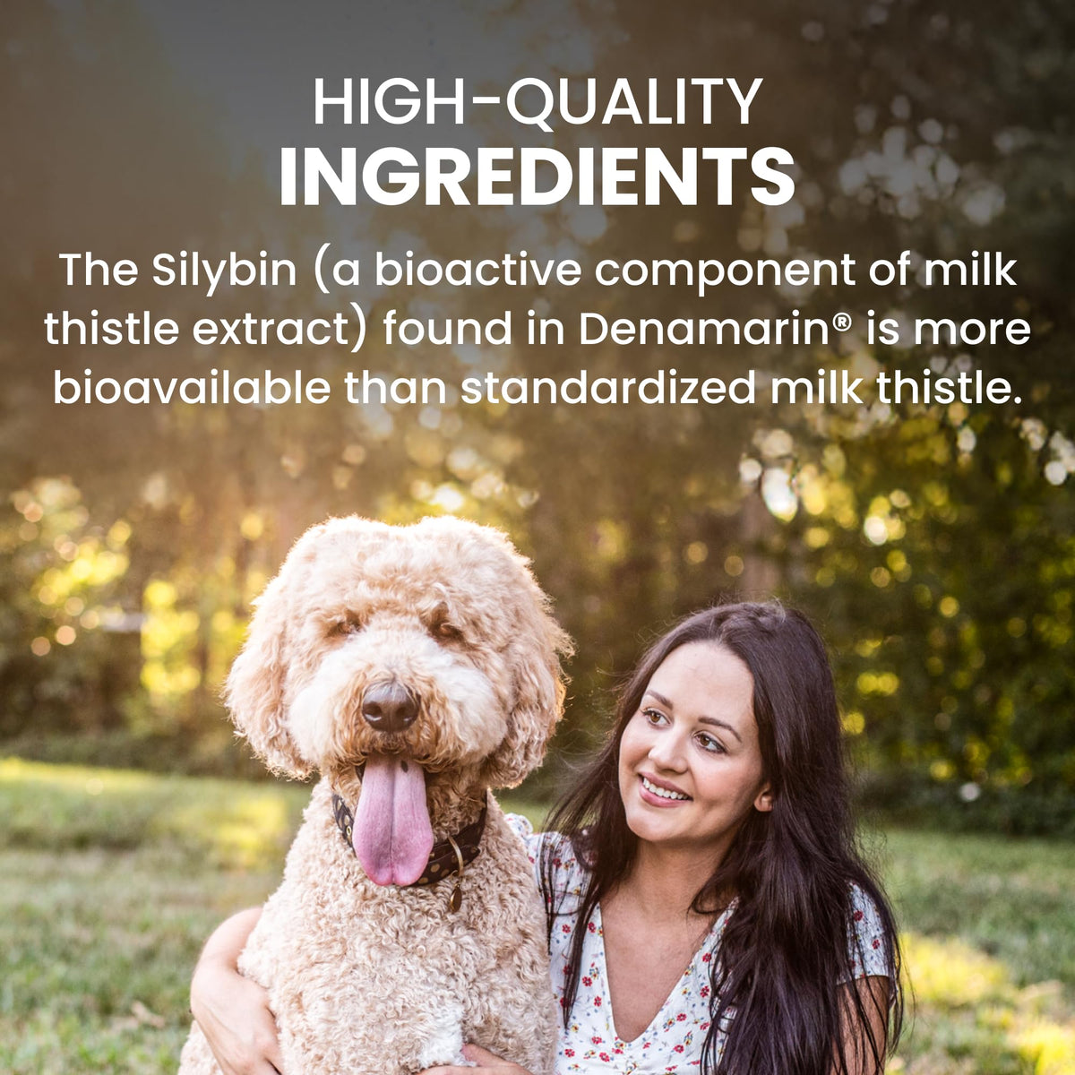 Large Dog Liver Health Supplement Coated Tablets 30 Count Pack of 2 N763