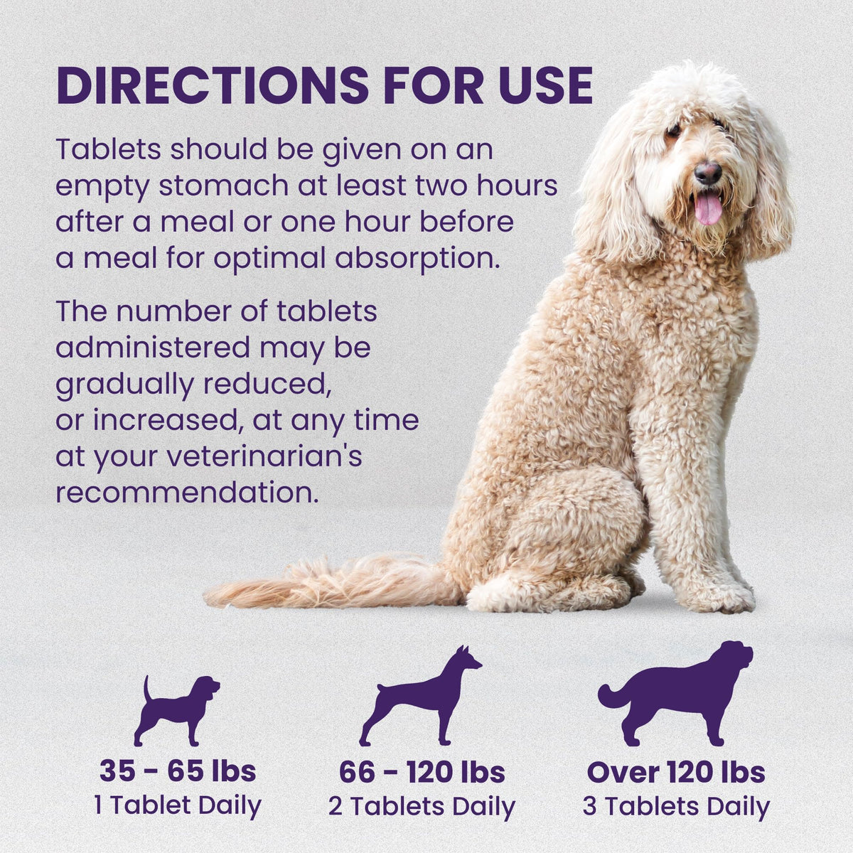 Large Dog Liver Health Supplement Coated Tablets 30 Count Pack of 2 N763