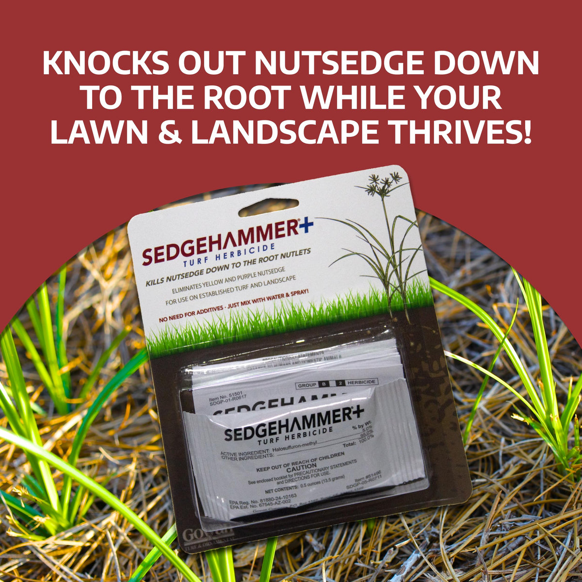 13.5 Grams Nutsedge Control W3141